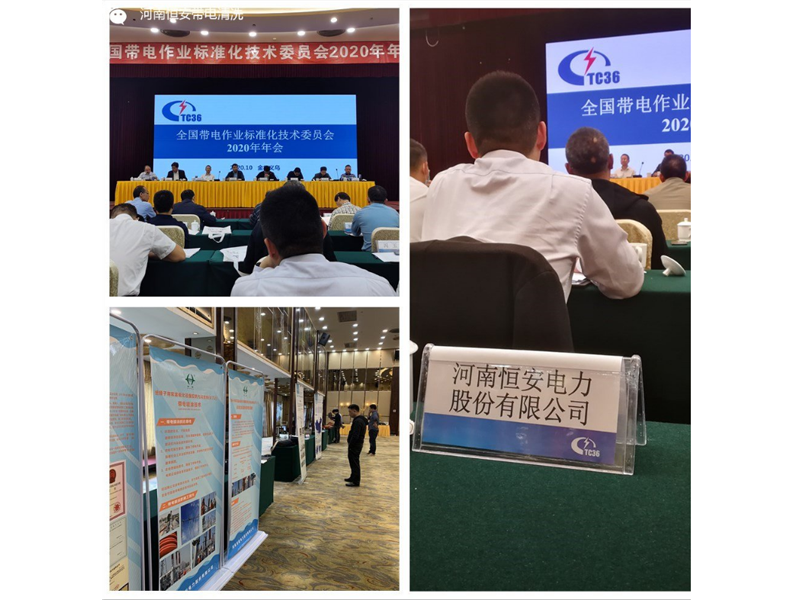 恒安电力公司出席全国带电作业标准化技术委员会2020年年会