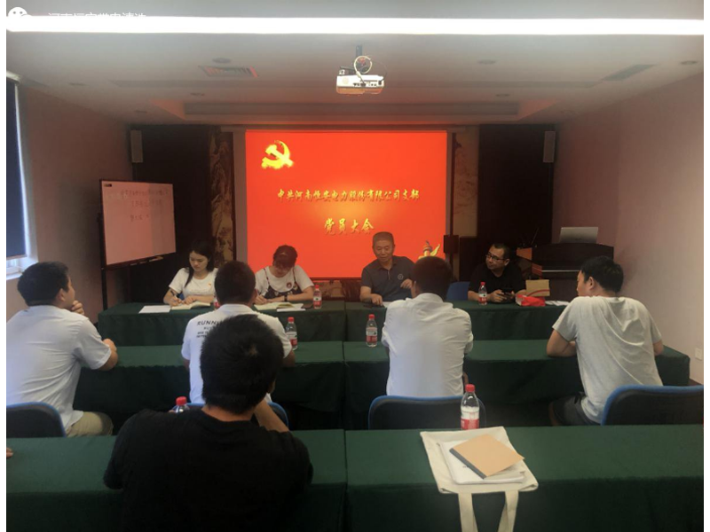 河南恒安电力股份有限公司党支部成立