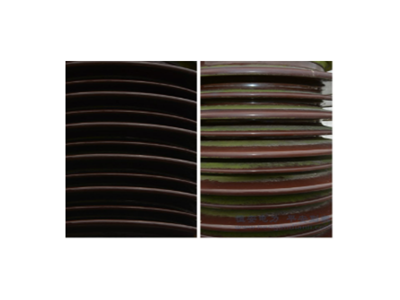 公司承担研究开发阳江供电局【电力设备苔藓清除技术研究及应用】科技项目顺利通过验收