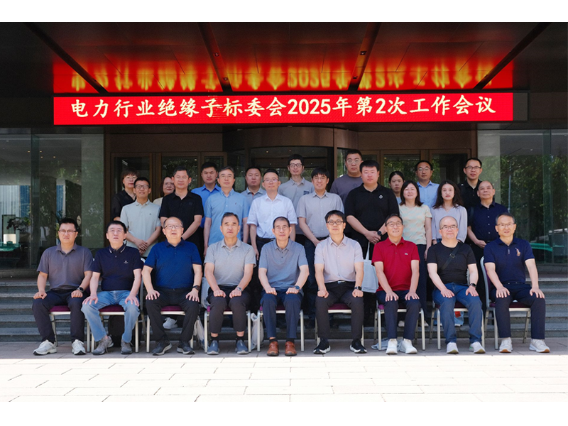 电力行业绝缘子标委会2025年第2次工作会议顺利召开