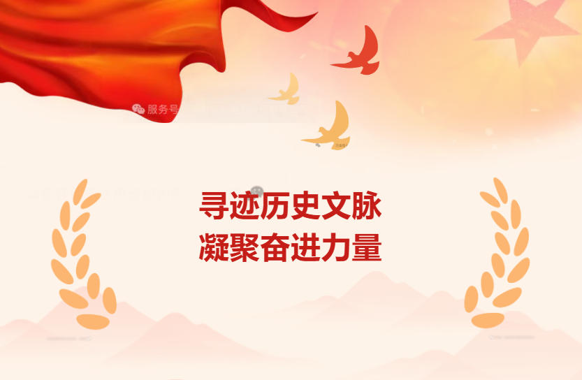 【寻迹历史文脉，凝聚奋进力量】恒安电力党支部开展河南省博物院参观活动