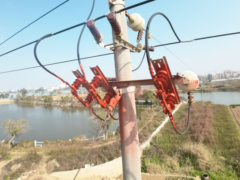 10kV柱上开关防小动物带电绝缘涂覆