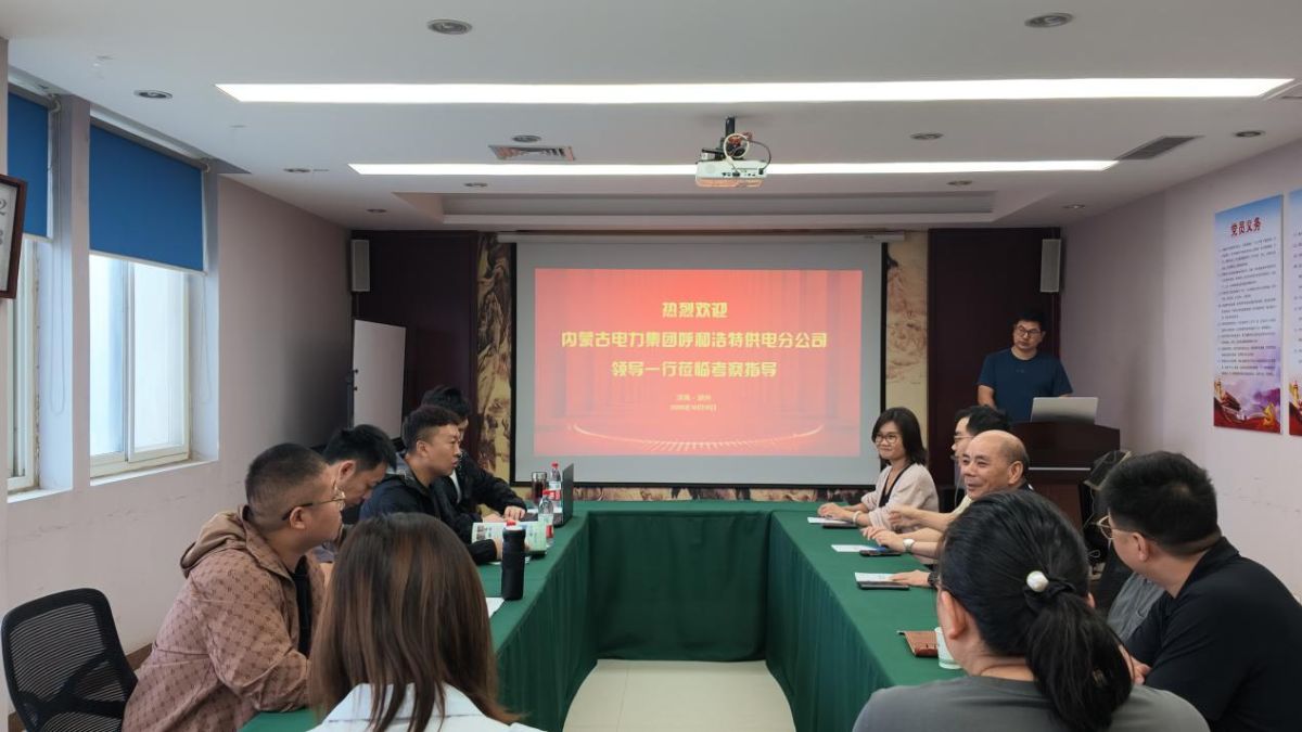 内蒙古电力集团呼和浩特供电分公司领导一行莅临我公司开展中标单位专项审查工作