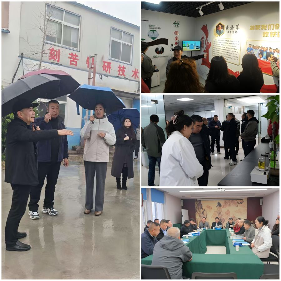 微信图片_20250529090836